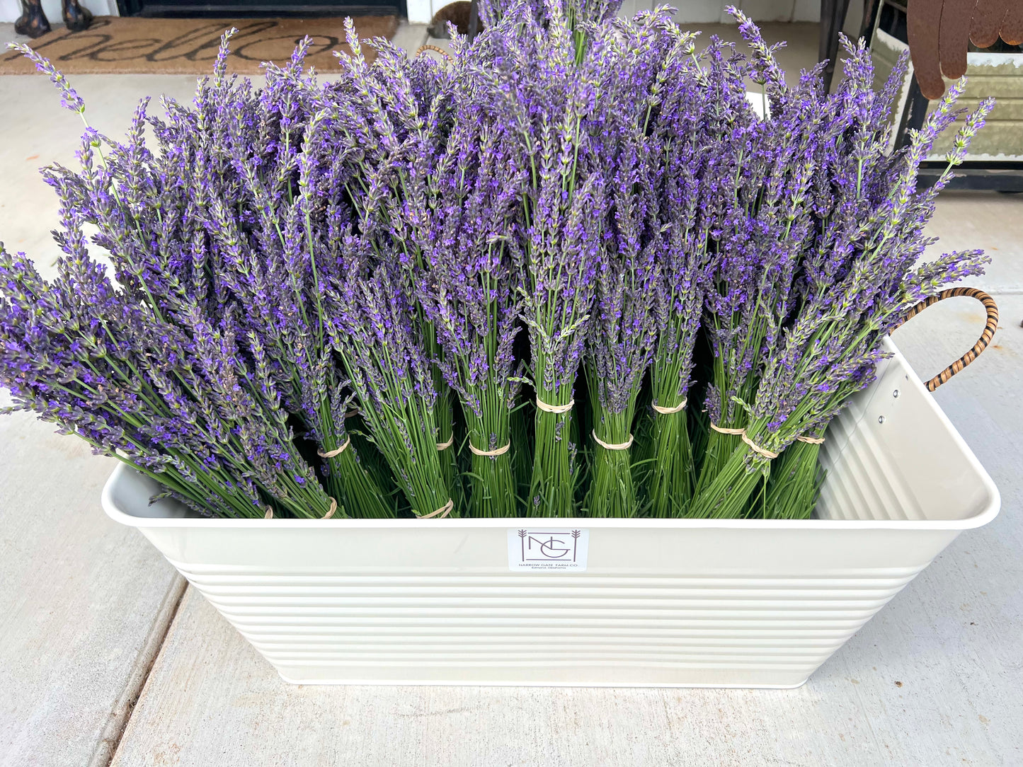 Fresh Cut Lavender (JUNE-Local Pick-up Only)