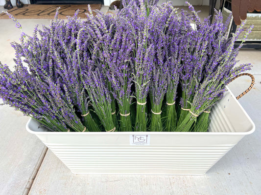 Fresh Cut Lavender (Local Pick-up Only)
