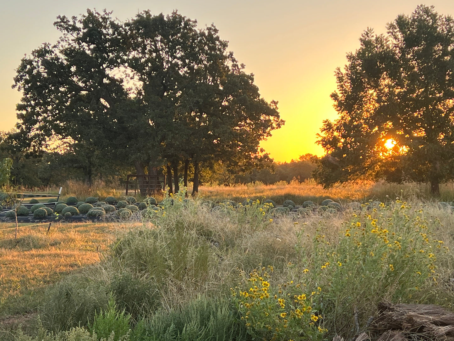 Photography SEMI-PRIVATE Session OPTIONS (1 Hour)