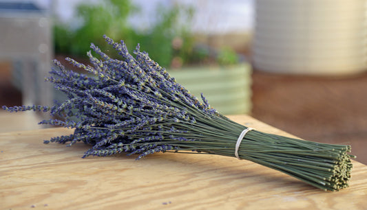 LOKaL LAVENDER BUNDLE- Dried