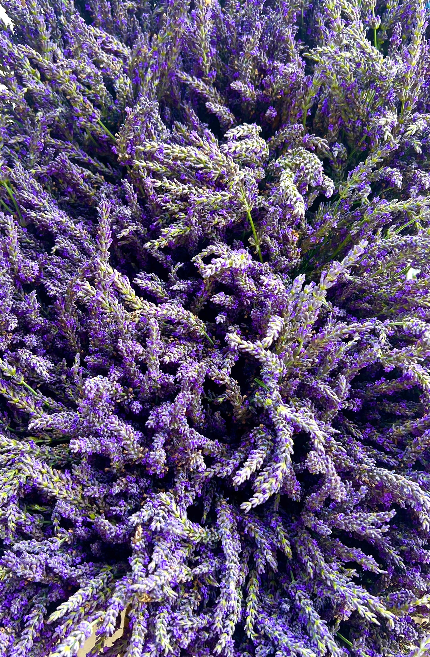 Additional Client Group Fee